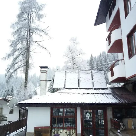 Vlahvi's House